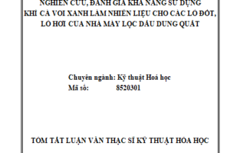 Nghiên cứu đánh giá khả năng sử dụng khí Cá Voi Xanh làm nhiên liệu cho các lò đốt lò hơi của NMLD Dung Quất
