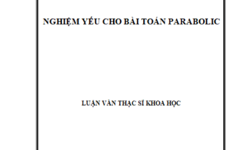 NGHIỆM YẾU CHO BÀI TOÁN PARABOLIC