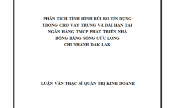 Phân tích tình hình rủi ro tín dụng trong cho vay trung và dài hạn tại Ngân hàng TMCP phát triển nhà Đồng bằng sông Cửu Long chi nhánh Đắk Lắk