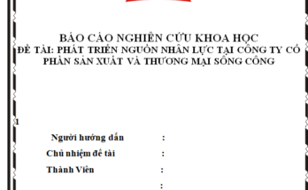 Phát triển nguồn nhân lực tại Công ty Cổ phần Sản xuất và Thương mại Sông Công