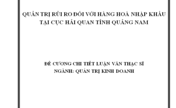 Quản trị rủi ro đối với hàng hoá nhập khẩu tại Cục Hải quan tỉnh Quảng Nam