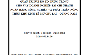 Quản trị rủi ro tín dụng trong cho vay doanh nghiệp tại chi nhánh Ngân hàng nông nghiệp và phát triển nông thôn Khu kinh tế mở Chu Lai – Quảng Nam