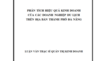 Phân tích hiệu quả kinh doanh của các doanh nghiệp du lịch trên địa bàn thành phố Đà Nẵng