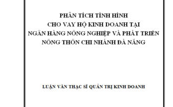 Phân tích tình hình cho vay hộ kinh doanh của Ngân hàng Nông nghiệp và Phát triển nông thôn Chi nhánh Đà Nẵng