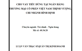 Cho vay tiêu dùng tại ngân hàng thương mại cổ phần Việt Nam Thịnh Vượng(VPBank) - Chi nhánh Bình Định