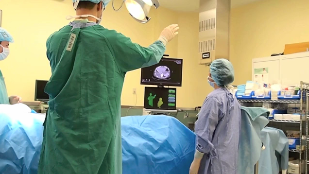  phân đoạn tự động video cử chỉ tay
