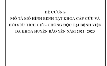 Mô tả mô hình bệnh tật tại khoa Cấp cứu - Hồi sức tích cực – Chống độc Bệnh viện Đa khoa huyện Bảo Yên - Lào Cai năm 2021- 2023