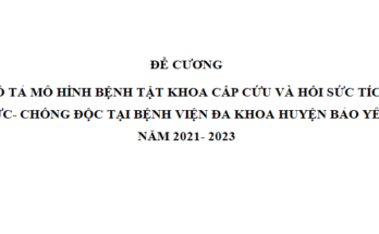 Mô tả mô hình bệnh tật tại khoa Cấp cứu - Hồi sức tích cực – Chống độc Bệnh viện Đa khoa huyện Bảo Yên - Lào Cai năm 2021- 2023