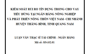 Kiểm soát rủi ro tín dụng trong cho vay tiêu dùng tại Ngân hàng Nông Nghiệp và Phát Triển Nông Thôn Việt Nam
