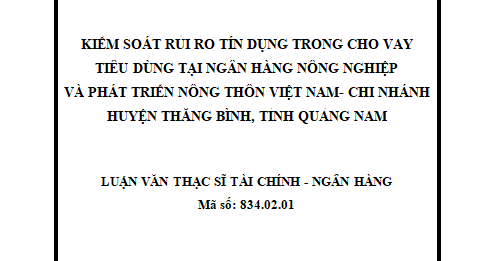 Kiểm soát rủi ro tín dụng trong cho vay tiêu dùng tại Ngân hàng Nông Nghiệp và Phát Triển Nông Thôn Việt Nam