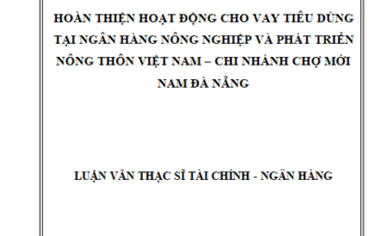 Hoàn thiện hoạt động cho vay tiêu dùng nhân tại Ngân hàng Nông nghiệp và Phát triển Nông thôn Việt Nam