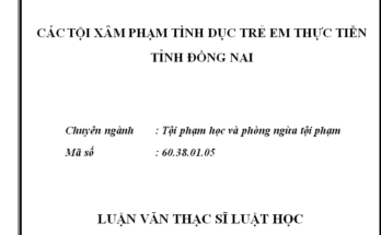 Các tội xâm hại tình dục trẻ em từ thực tiễn tỉnh Đồng Nai