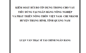 Kiểm soát rủi ro tín dụng trong cho vay tiêu dùng tại Ngân hàng Nông Nghiệp và Phát Triển Nông Thôn Việt Nam