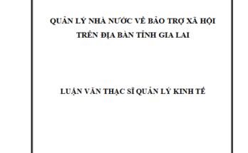 Quản lý nhà nước về bảo trợ xã hội trên địa bàn tỉnh Gia Lai
