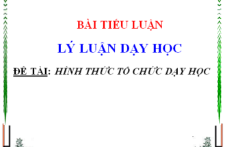 Phân tích ưu điểm hạn chế của một số hình thức tổ chức dạy học ở tiểu học