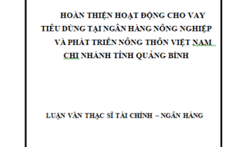 Hoàn thiện hoạt động cho vay tiêu dùng tại Ngân hàng Nông nghiệp và Phát triển Nông thôn Việt Nam