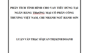 Phân tích tình hình cho vay tiêu dùng tại Ngân hàng TMCP Công thương VN