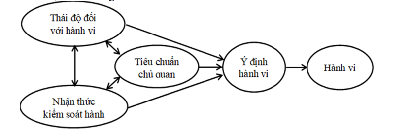 Lí thuyết hành vi hoạch định (Theory of Planned Behavior - TPB) là gì? - Ảnh 2.