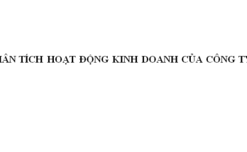 PHÂN TÍCH HOẠT ĐỘNG KINH DOANH CỦA CÔNG TY 74