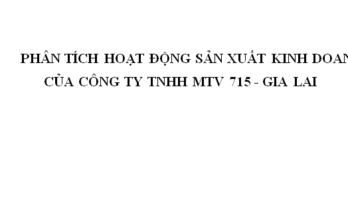 PHÂN TÍCH HOẠT ĐỘNG SẢN XUẤT KINH DOANH CỦA CÔNG TY TNHH MTV 715 - GIA LAI