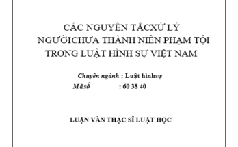 Các nguyên tắc xử lý người chưa thành niên phạm tội trong luật hình sự Việt Nam