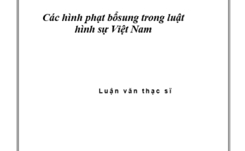 CÁC HÌNH PHẠT BỔ SUNG TRONG LUẬT HÌNH SỰ VIỆT NAM