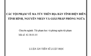 D:\TÀI LIỆU NGÀNH LUẬT\TÀI LIỆU NGÀNH LUẬT 2\CÁC TỘI PHẠM VỀ MA TÚY TRÊN ĐỊA BÀN TỈNH ĐIỆN BIÊN TÌNH HÌNH NGUYÊN NHÂN VÀ GIẢI PHÁP PHÒNG NGỪA