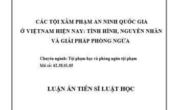 Các tội xâm phạm an ninh quốc gia ở Việt Nam hiện nay:Tình hình nguyên nhân và các giải pháp phòng ngừa