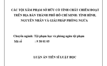 Các tội xâm phạm sở hữu có tính chất chiếm đoạt trên địa bàn thành phố Hồ Chí Minh: tình hình nguyên nhân và giải pháp phòng ngừa
