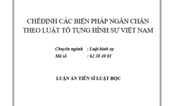 CHẾ ĐỊNH CÁC BIỆN PHÁP NGĂN CHẶN THEO LUẬT TỐ TỤNG HÌNH SỰ VIỆT NAM