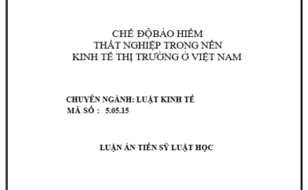CHẾ ĐỘ BẢO HIỂM THẤT NGHIỆP TRONG NỀN KINH TẾ THỊ TRƯỜNG Ở VIỆT NAM