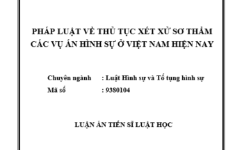 Pháp luật về thủ tục xét xử sơ thẩm các vụ án hình sự ở Việt Nam hiện nay