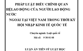 PHÁP LUẬT ĐIỀU CHỈNH QUAN HỆ LAO ĐỘNG CỦA NGƯỜI LAO ĐỘNG NƯỚC NGOÀI TẠI VIỆT NAM TRONG THỜI KỲ HỘI NHẬP KINH TẾ QUỐC TẾ