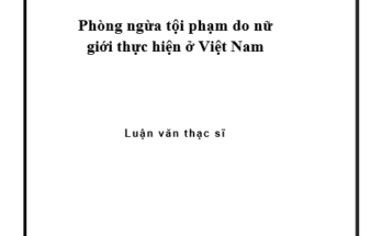 Phòng ngừa tội phạm do nữ giới thực hiện ở Việt Nam