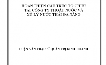 luận văn hoàn thiện cấu trúc tổ chức tại Công ty