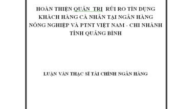 Quản trị rủi ro tín dụng khách hàng cá nhân tại Ngân hàng Nông nghiệp và Phát triển Nông thôn Việt Nam tỉnh Quảng Bình