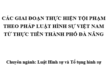 Các giai đoạn thực hiện tội phạm theo pháp luật hình sự Việt Nam