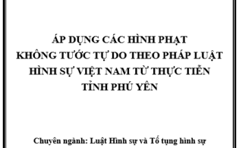 Áp dụng các hình phạt không tước tự do theo pháp luật hình sự Việt Nam
