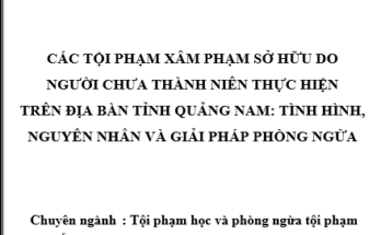 Các tội phạm XPSH do NCTN thực hiện trên địa bàn tỉnh Quảng Nam: tình hình, nguyên nhân và giải pháp phòng ngừa