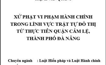 Xử phạt vi phạm hành chính trong lĩnh vực trật tự đô thị từ thực tiễn