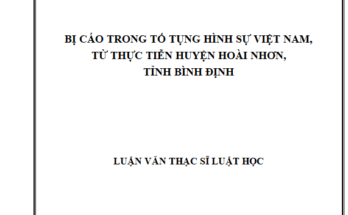 Bị cáo trong tố tụng hình sự Việt Nam