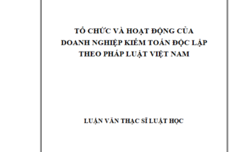 Tổ chức và hoạt động của DNKT độc lập theo pháp luật Việt Nam