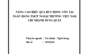 Nâng cao hiệu quả huy động vốn tại Ngân hàng TMCP Ngoại thương Việt Nam