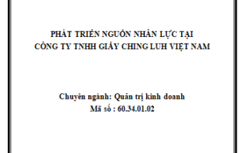 Phát triển nguồn nhân lực tại Công ty TNHH Giầy Ching Luh Việt Nam