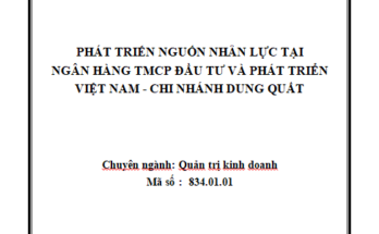 Phát triển nguồn nhân lực tại Ngân hàng TMCP Đầu tư và phát triển Việt Nam