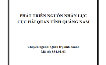 Phát triển nguồn nhân lực Cục Hải quan tỉnh Quảng Nam