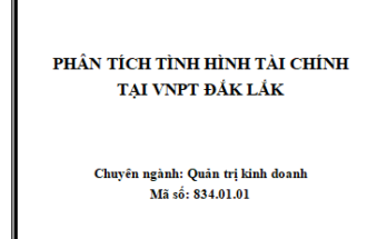 Phân tích tình hình tài chính tại VNPT Đắk Lắk