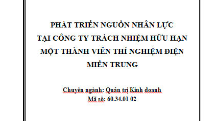Phát triển nguồn nhân lực tại Công ty TNHH MTV