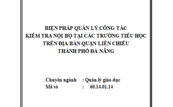 Biện pháp quản lý công tác kiểm tra nội bộ tại các trường Tiểu học trên địa bàn quận Liên Chiểu thành phố Đà Nẵng