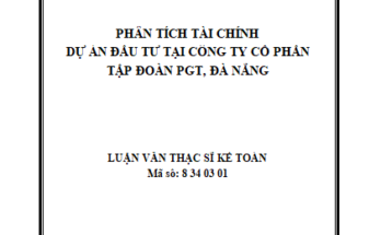 Phân tích tài chính dự án đầu tư tại Công ty Cổ Phần Tập Đoàn PGT Đà Nẵng